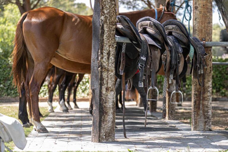 Ayala Polo Club 3 768x512