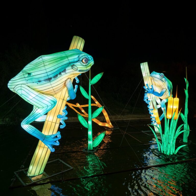 Brilla Faunia 2 768x768