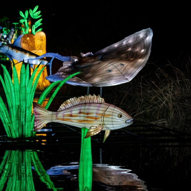 Brilla Faunia 4 768x768