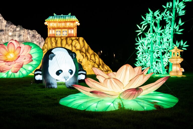 Brilla Faunia 5 768x512