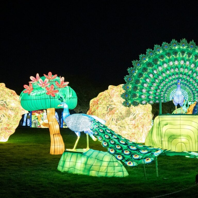 Brilla Faunia 768x768