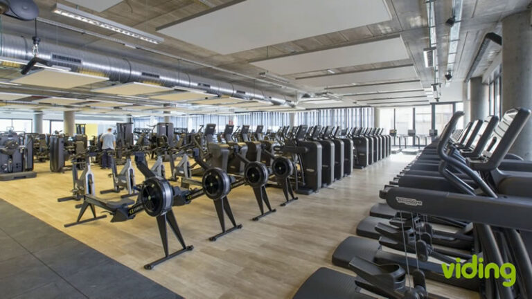 Centro Deportivo Municipal Alcantara 3 768x432