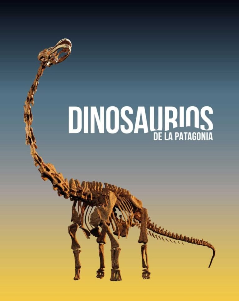 Exposicion Dinosaurios de la Patagonia en CaixaForum Madrid 768x968