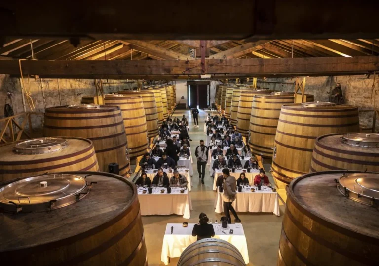 La Cata del Barrio de La Estacion 3 768x538