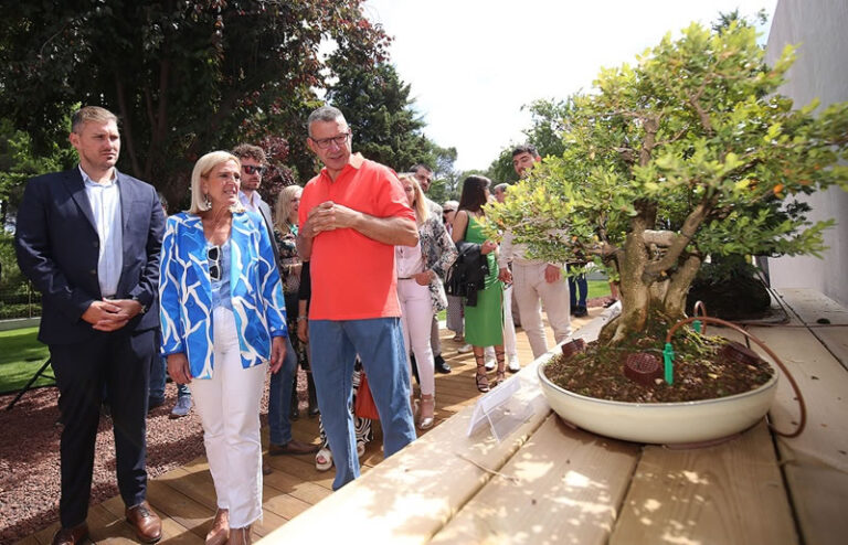 Museo Municipal del Bonsai de Collado Villalba 2 768x494