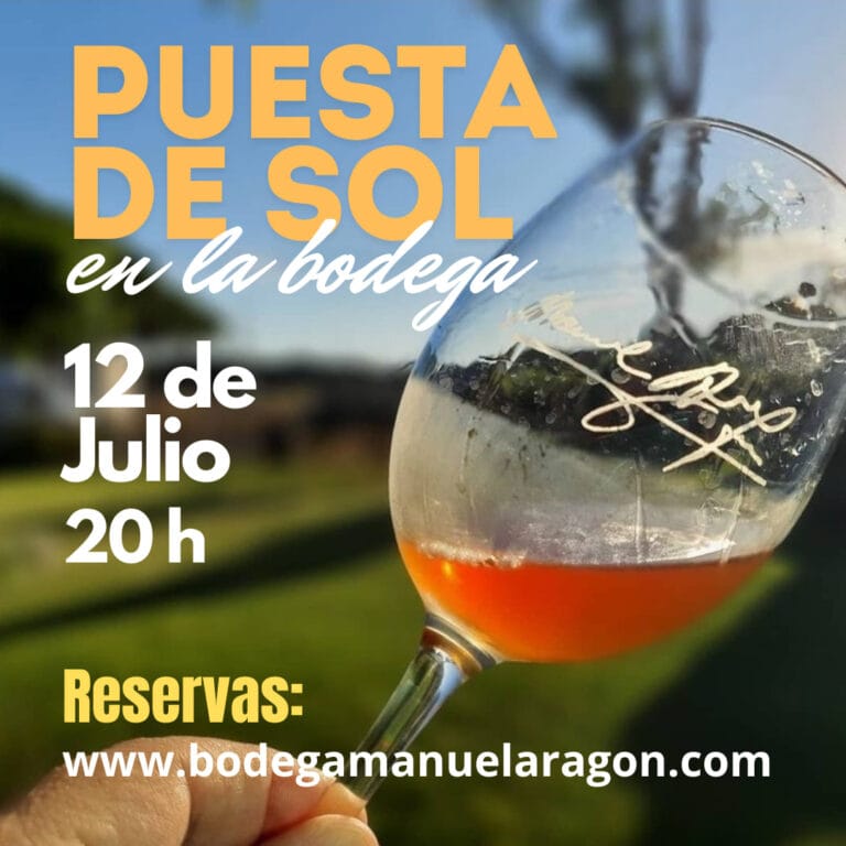 Puesta de sol y cata en Bodega Manuel Aragon 768x768