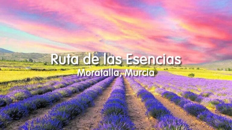 Ruta guiada Floracion de las plantas aromaticas de los campos de Moratalla Murcia 2 768x432