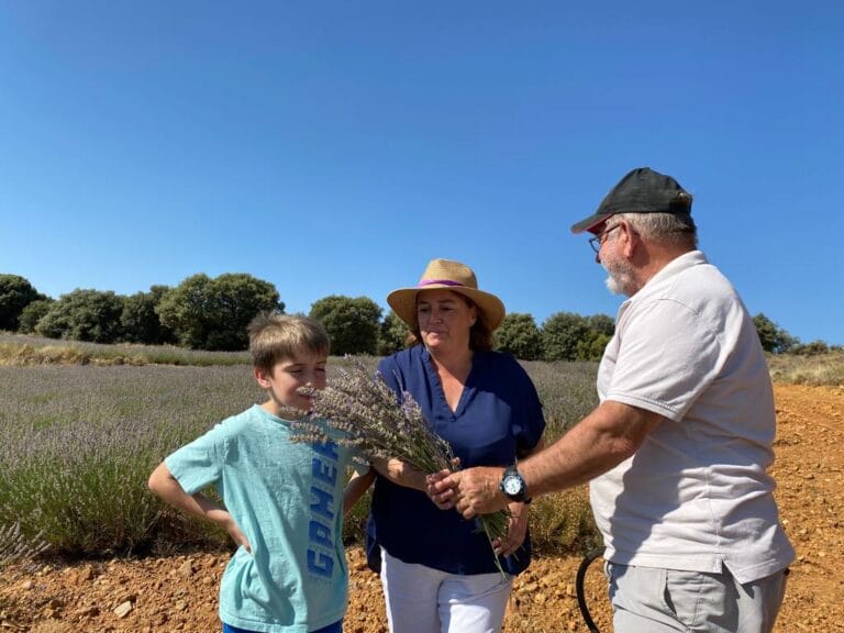 Visita guiada a los Campos de Lavanda de San Felices Soria 768x576