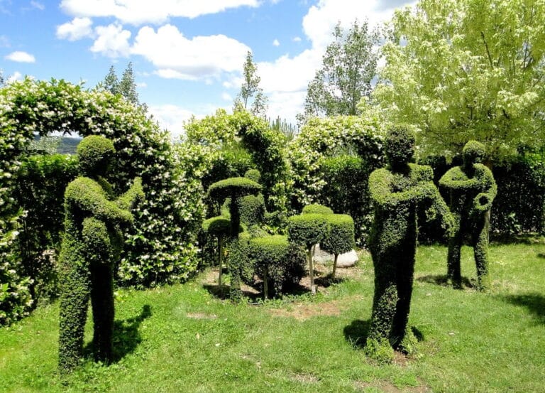 El Bosque Encantado 768x553