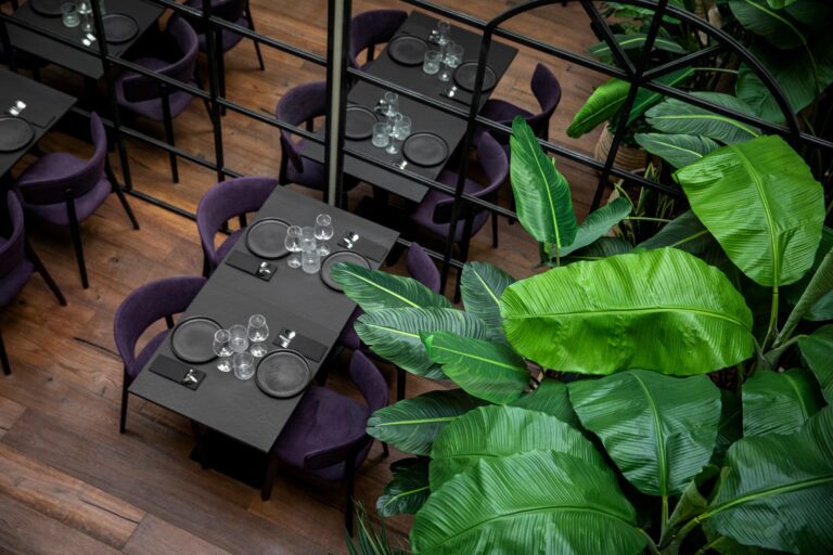 Quispe Madrid 768x512