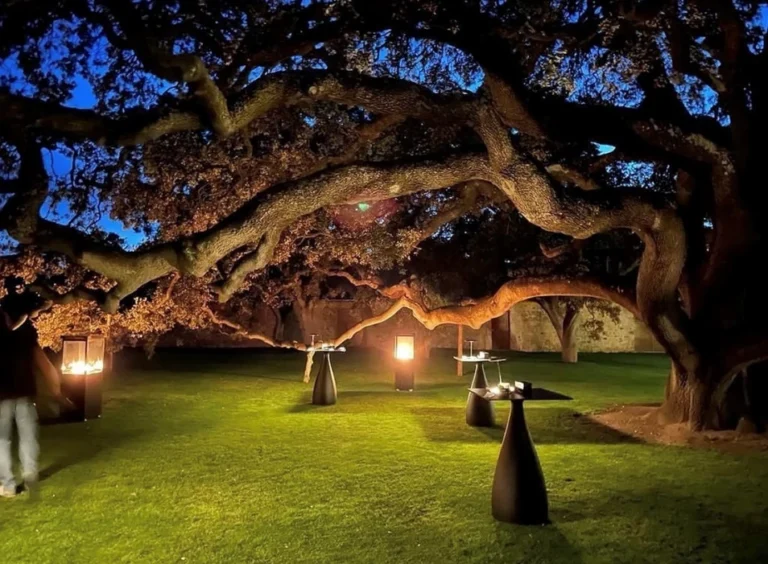 Bodegas Arzuaga 1 768x564