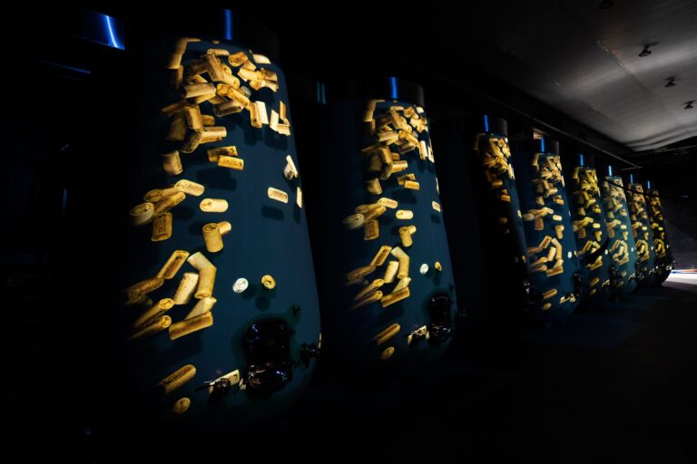 Bodegas Arzuaga 6 768x512