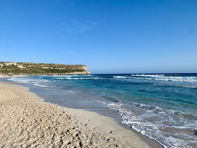 Playa de Son Bou 4 768x576