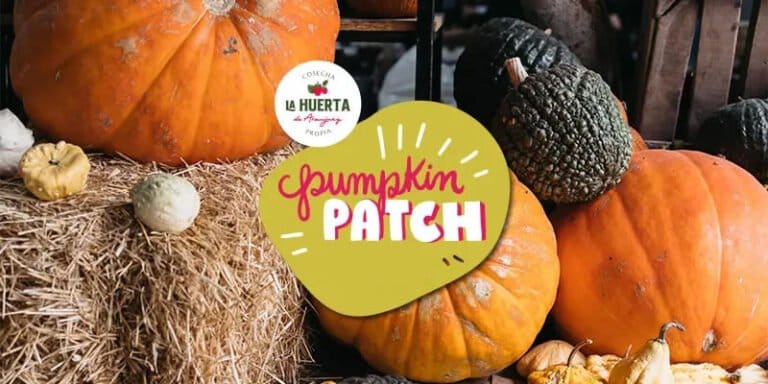 Pumpkin Patch en La Huerta de Aranjuez 10 768x384