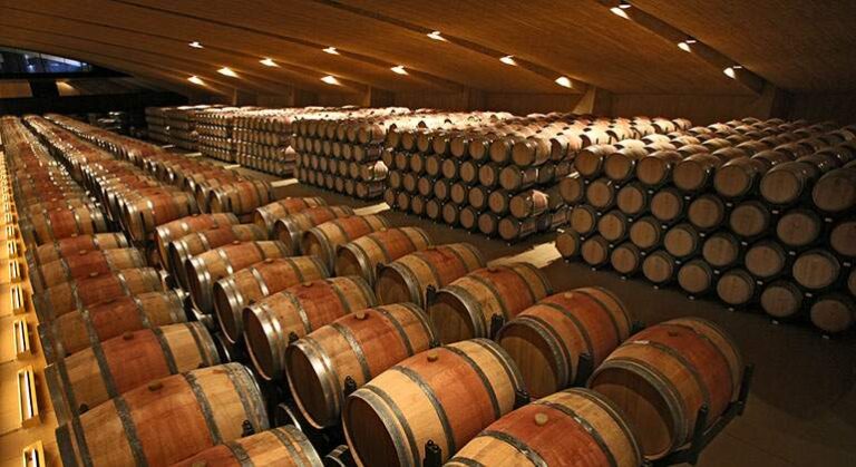 Bodega Perelada 5 768x419