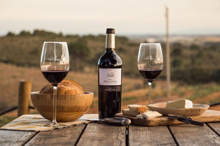 Bodega Perelada 9 768x512