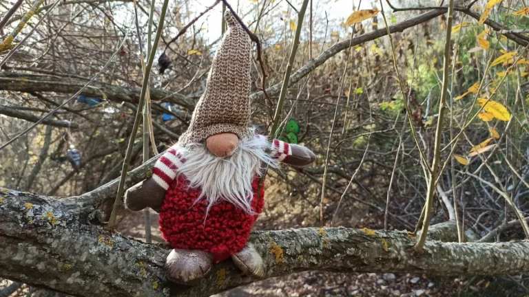 La Senda Magica de Arroyomolinos 5 768x432