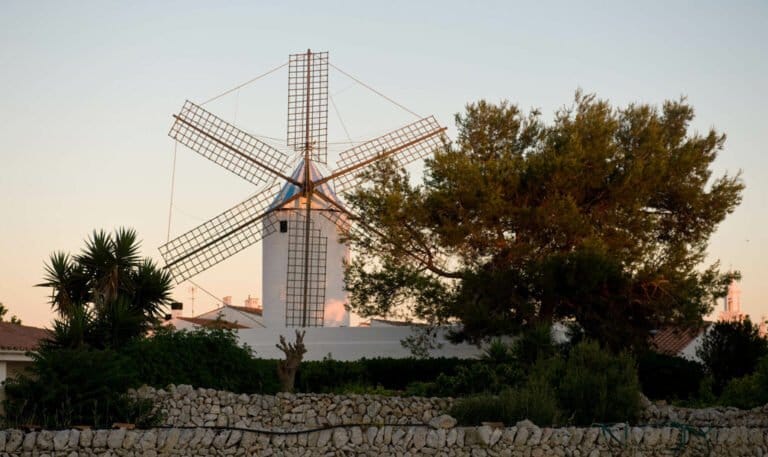 Moli Market Menorca 768x457
