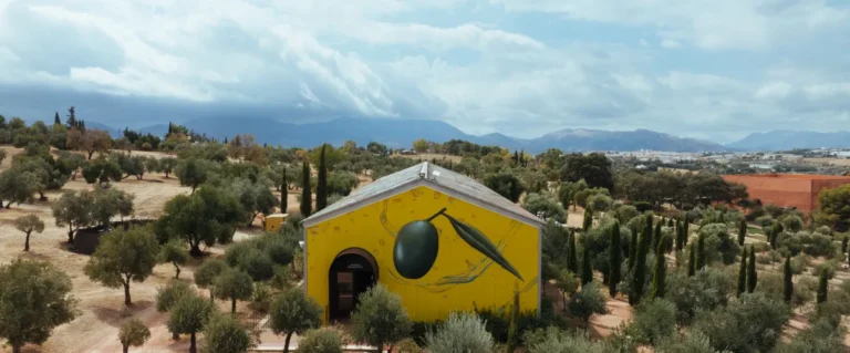 LA Almazara 10 768x319