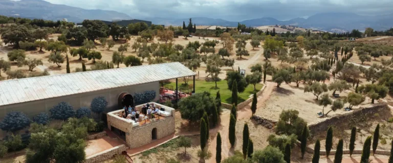 LA Almazara 12 768x319