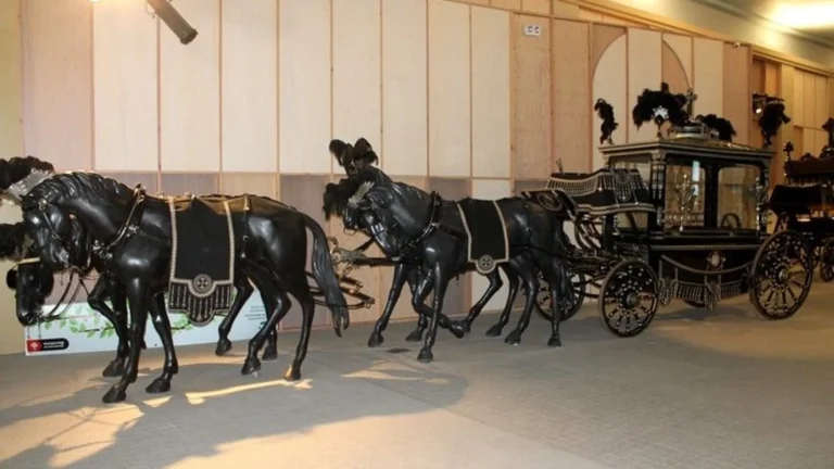 Museo de Carrozas Funebres 2 768x432