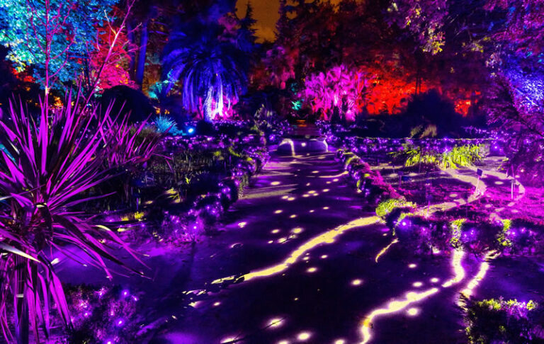 Naturaleza Encendida Life en Madrid 2 768x486