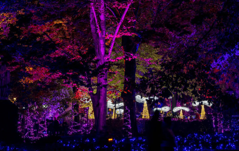 Naturaleza Encendida Life en Madrid 3 768x486