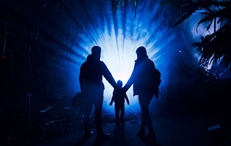 Naturaleza Encendida Life en Madrid 5 768x486