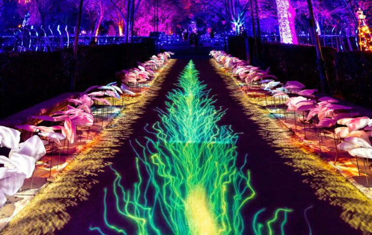 Naturaleza Encendida Life en Madrid 6 768x486