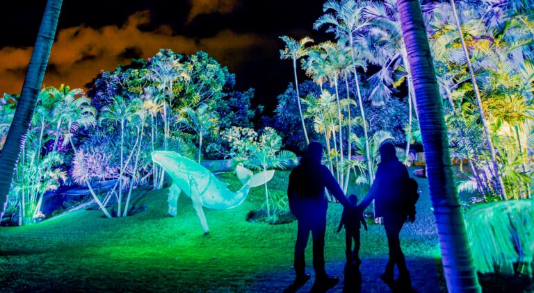 Naturaleza Encendida Life en Madrid 7 768x422