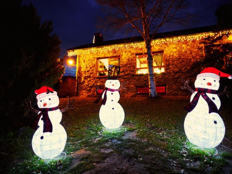 Peque Navidad en Valle de los Abedules de Bustarviejo 768x576