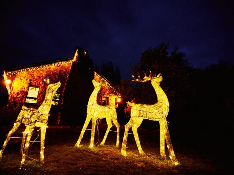 Peque Navidad en Valle de los Abedules de Bustarviejo6 768x576