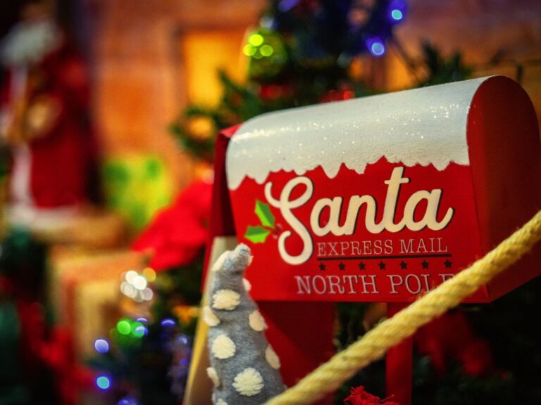 Peque Navidad en Valle de los Abedules de Bustarviejo7 768x576