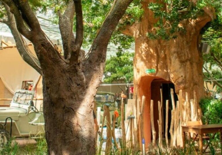 Voltereta Tanzania 5 768x538