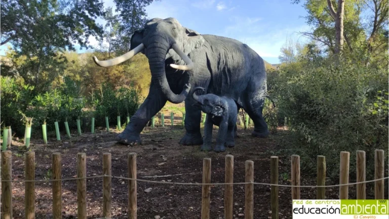 Centro de Educacion Ambiental El Campillo 3 1 768x432