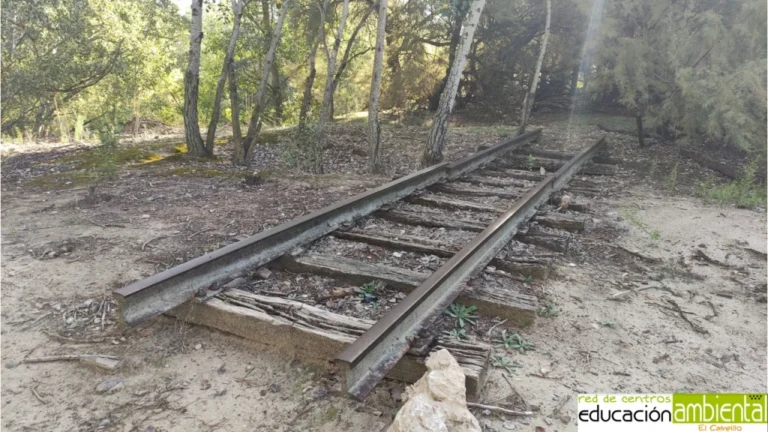 Centro de Educacion Ambiental El Campillo 4 1 768x432