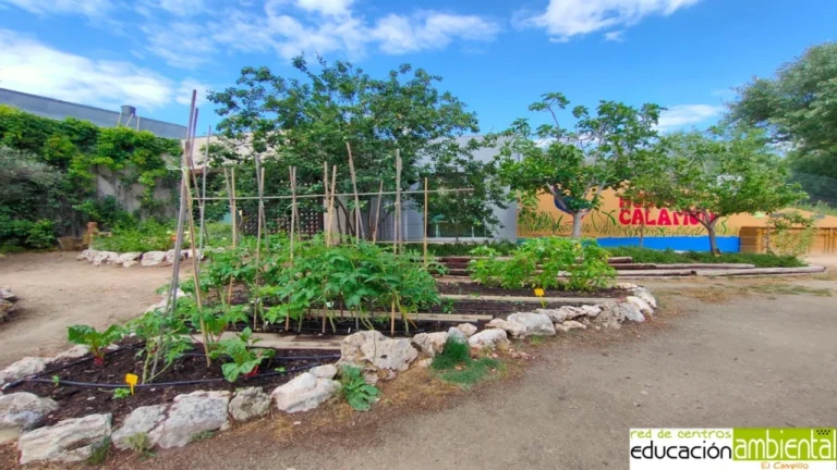 Centro de Educacion Ambiental El Campillo 6 1 768x432