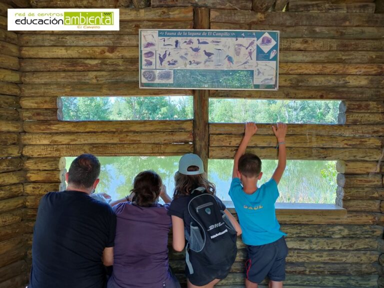 Centro de Educacion Ambiental El Campillo 8 1 768x576
