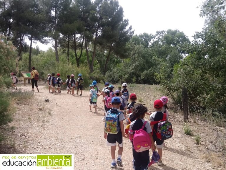 Centro de Educacion Ambiental El Campillo 9 1 768x576
