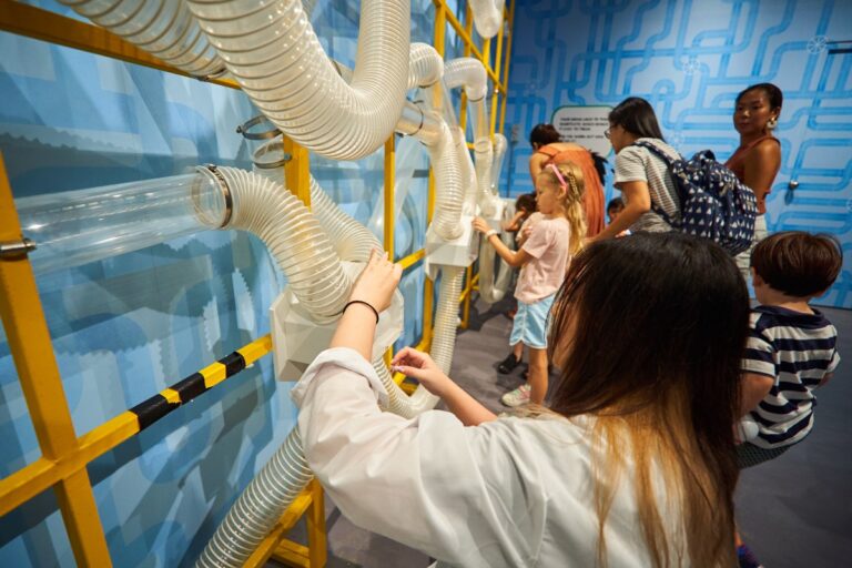 Chaos Lab Experiencia cientifica interactiva para todos 6 768x512