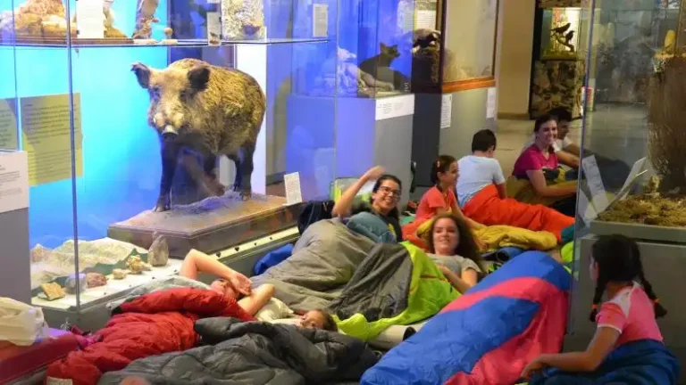 Acampada y aventura en el Museo de Ciencias Naturales 1 768x432