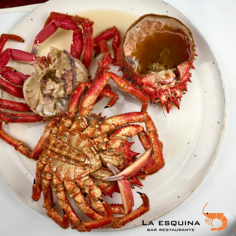 La Esquina 11 768x768