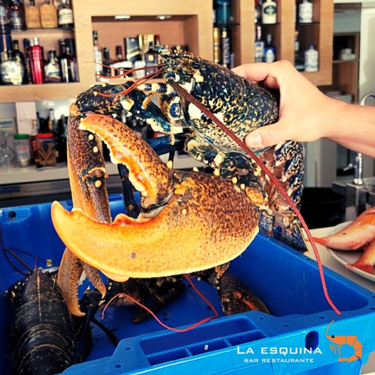 La Esquina 8 768x768