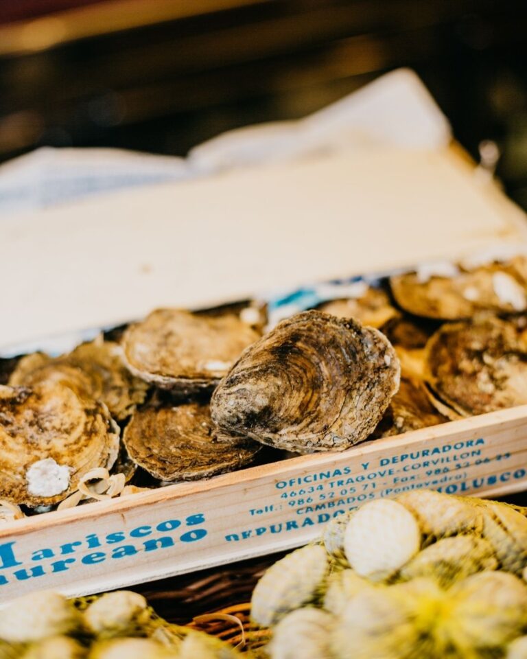 Restaurante Campos Lugo 12 768x960