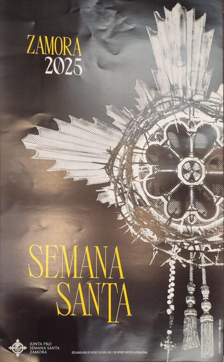 semana santa Zamora 2025 768x1239
