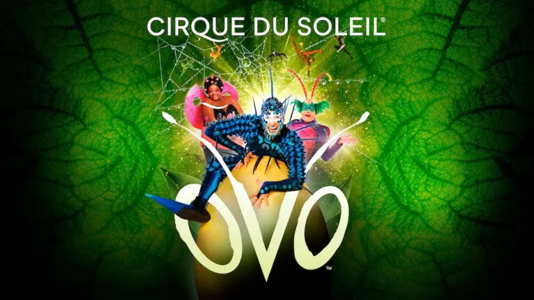 Cirque du Soleil Ovo El Circo del Sol 768x432