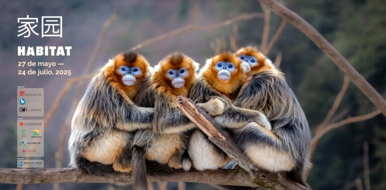 Exposicion Fotografica Habitat Animales Salvajes en China en Centro Cultural de China 768x379