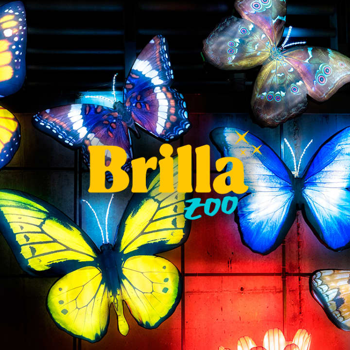 Brilla Zoo en Madrid 1