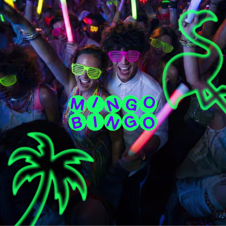 Mingo Bingo La fiesta neon mas salvaje 2