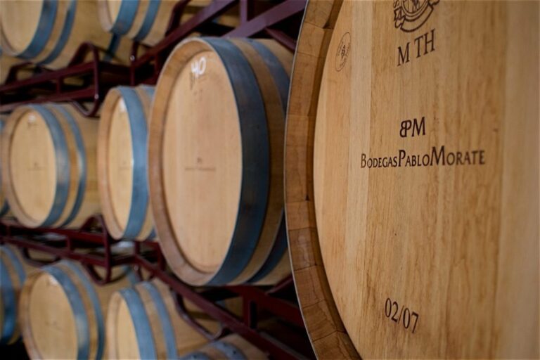 Visita a Bodega Museo del Vino y Cata en Bodegas Pablo Morate 1 768x512